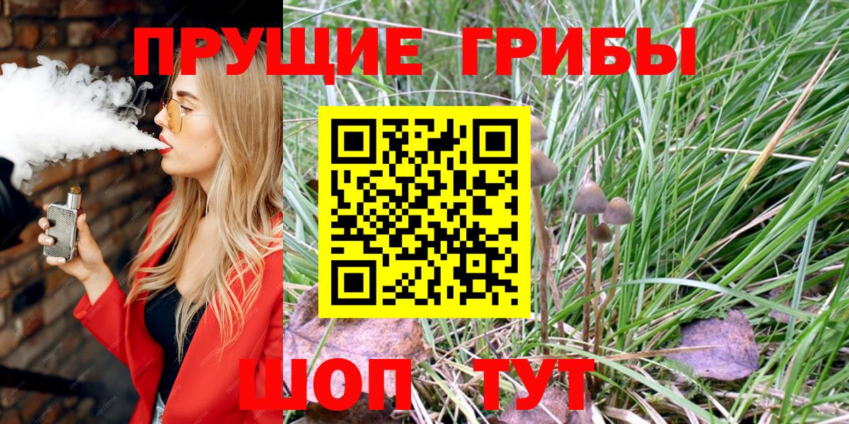 Галлюциногенные грибы прущие грибы  Вход с VPN  Сертолово  цены наркотик  Псилоцибиновые грибы ЛСД 
