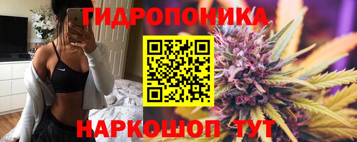 МАРИХУАНА тримм  Марихуана планчик  Сертолово  Вход с VPN  Марихуана THC 21% 